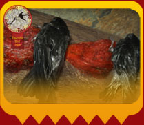 Original Birdnest