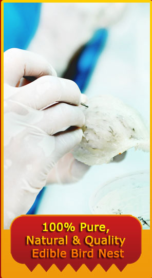 100% Pure, Natural & Quality Edible Bird Nest